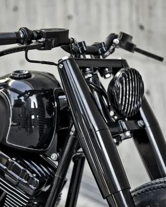 Parti speciali Harley Davidson