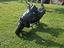Immagine 3