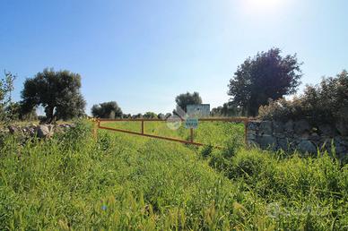 TER. RESIDENZIALE A OSTUNI
