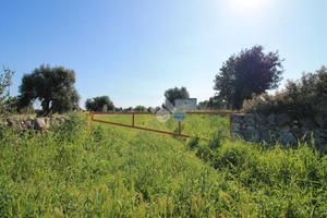 TER. RESIDENZIALE A OSTUNI