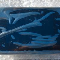 Cruscotto Yamaha MT07 2025 meter connected assy