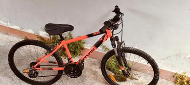 Bicicletta 24