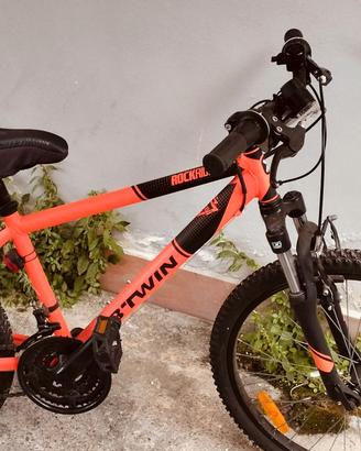 Bicicletta 24