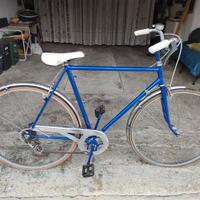 Biciclette da passeggio 2 modelli