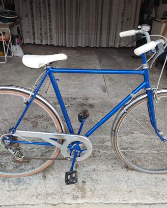 Biciclette da passeggio 2 modelli