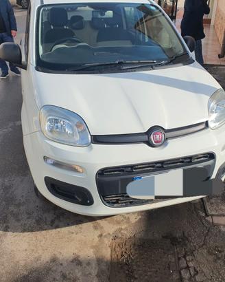Fiat panda gtd