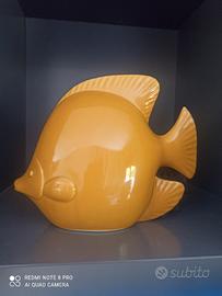 pesce 