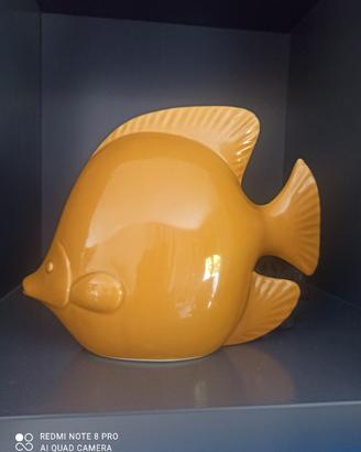 pesce 