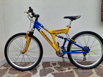 Bicicletta