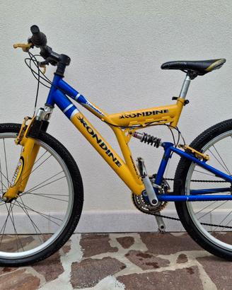 Bicicletta