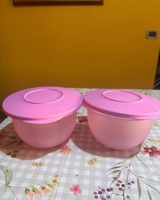 Set 2 ciotole Tupperware lilla 