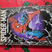 fumetto Spider-man Tornando a casa