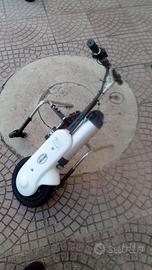 triride elettrico per disabili