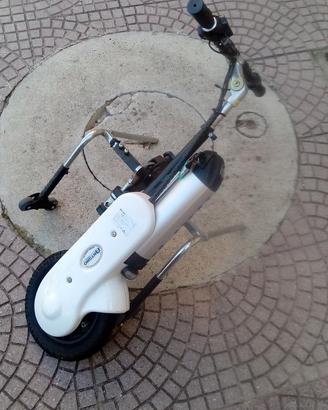 triride elettrico per disabili