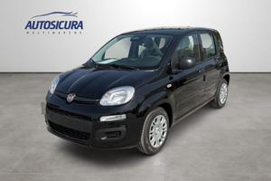 FIAT Pandina 1.0 FireFly 65 CV Hybrid Icon