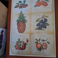quadro frutta decorativo vintage cornice natura 