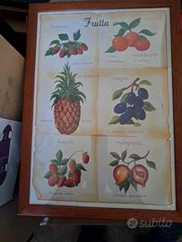quadro frutta decorativo vintage cornice natura 