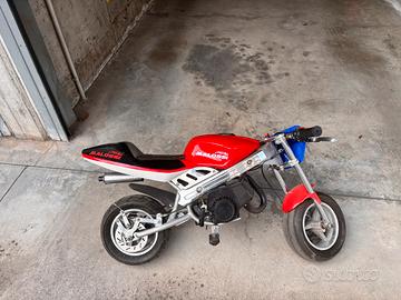 Minimoto
