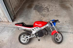 Minimoto
