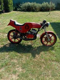 aspes Yuma 125