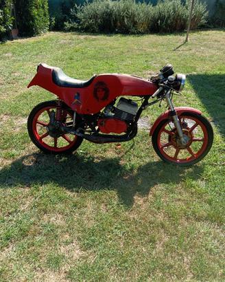 aspes Yuma 125