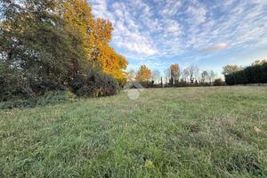 TER. AGRICOLO A MOLTENO