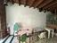 Immagine 7