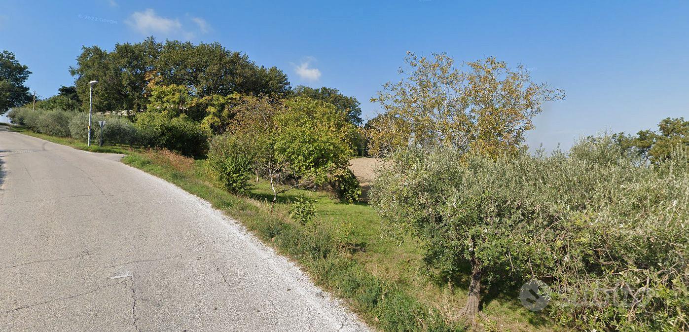Terreno agricolo 1.300 m² con 39 ulivi produttivi - Vista 2