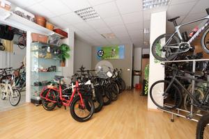 NEGOZIO A ALBA ADRIATICA