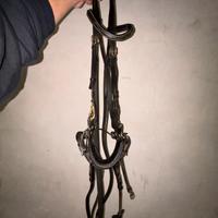 Testiera con annessi frontalino e hackamore