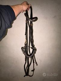 Testiera con annessi frontalino e hackamore