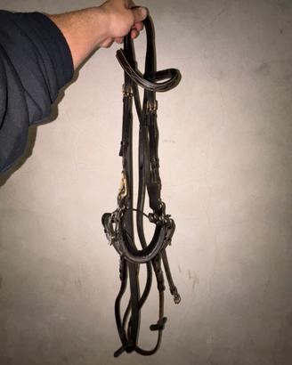 Testiera con annessi frontalino e hackamore