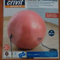 Palla per ginnastica dolce per postura e fitness