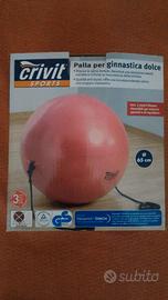 Palla per ginnastica dolce per postura e fitness