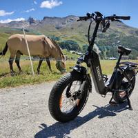 Bicicletta elettrica Eskute Star e-bike