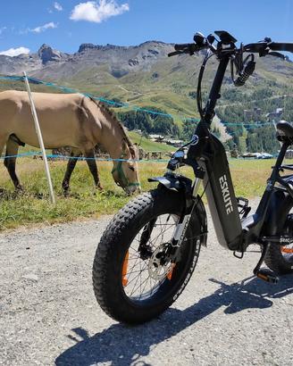 Bicicletta elettrica Eskute Star e-bike