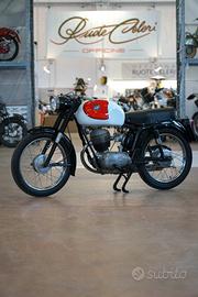 Mv Agusta 125 Centomila 1961