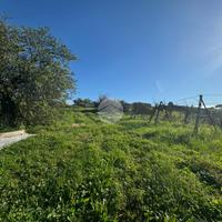 TER. RESIDENZIALE A MONTEROTONDO