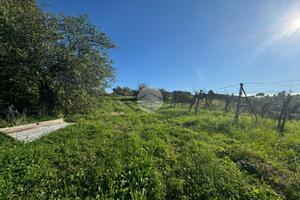 TER. RESIDENZIALE A MONTEROTONDO