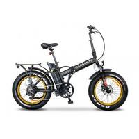 Bici elettrica Argento Mini Max GT