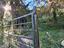 Immagine 11