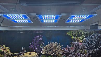 lampade per acquario GNC BluRay X