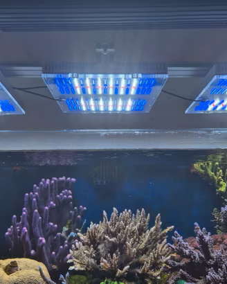 lampade per acquario GNC BluRay X