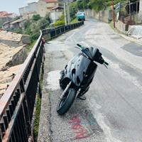 Carena anteriore phantom