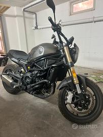 Leoncino Benelli 800