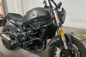 Leoncino Benelli 800