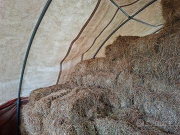 Fieno in ballette presse