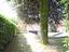 Immagine 17