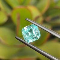 Tormalina Seaform naturale 1.45 ct.