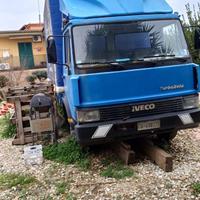 Titolo: Iveco TurboZeta 65-12 (1992) -